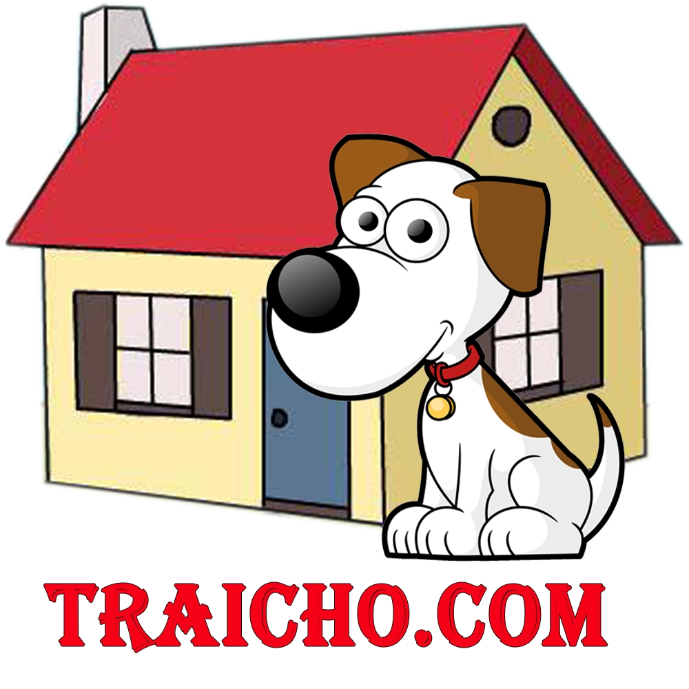 Traicho