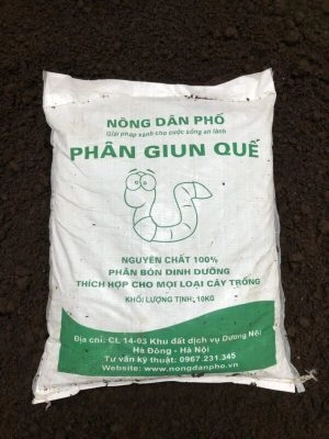 cho-an-duoc-rau-gi