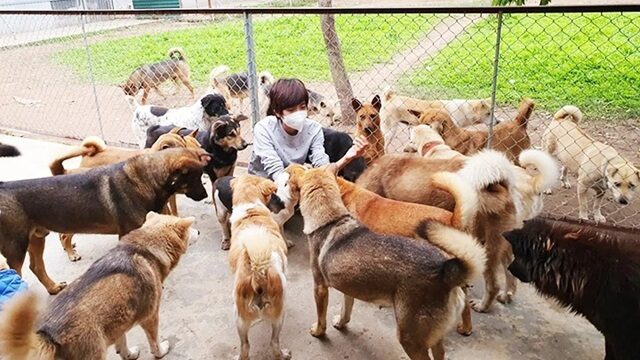 Hãy chung tay bảo vệ và giúp đỡ những người bạn nhỏ