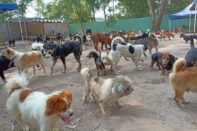 Cùng chung tay mang đến mái ấm mới cho các bé!