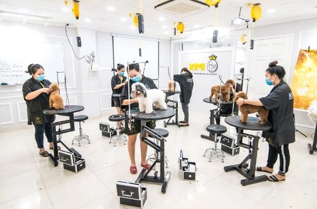 [TỔNG HỢP] 5+ Trung tâm đào tạo Grooming uy tín tại TP HCM