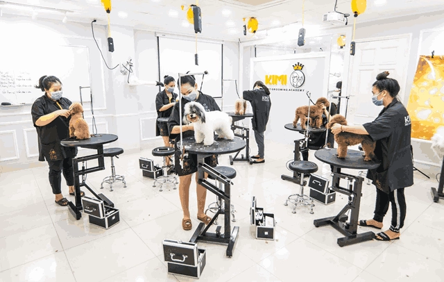Học viện Kimi Pet Grooming International Academy